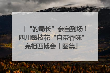 “豹局长”亲自到场！四川攀枝花“自带香味”亮相西博会丨图集