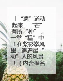 “遗”道动起来｜“芒”有所“种”，一举“糕”中！在桨影拳风里，邂逅最“动”人的风景！（内含报名信息）