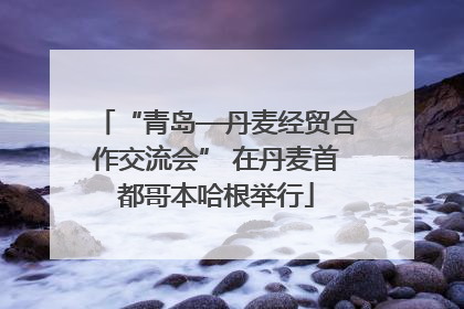 “青岛—丹麦经贸合作交流会” 在丹麦首都哥本哈根举行