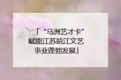 “马洲艺才卡”赋能江苏靖江文艺事业蓬勃发展