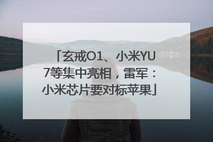 玄戒O1、小米YU7等集中亮相，雷军：小米芯片要对标苹果