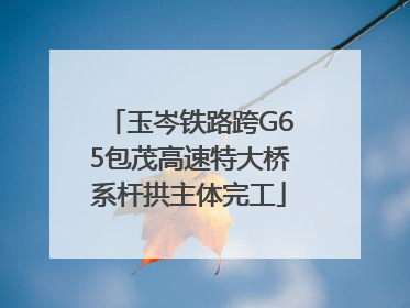 玉岑铁路跨G65包茂高速特大桥系杆拱主体完工