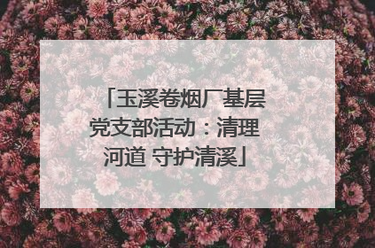 玉溪卷烟厂基层党支部活动：清理河道 守护清溪