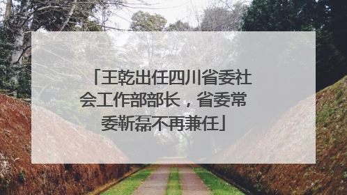 王乾出任四川省委社会工作部部长，省委常委靳磊不再兼任