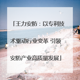 王力安防：以专利技术驱动行业变革 引领安防产业高质量发展