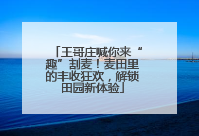 王哥庄喊你来“趣”割麦！麦田里的丰收狂欢，解锁田园新体验