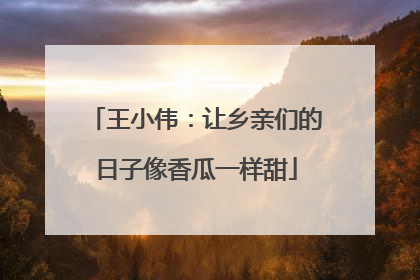 王小伟：让乡亲们的日子像香瓜一样甜
