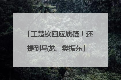 王楚钦回应质疑！还提到马龙、樊振东