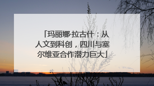玛丽娜·拉古什：从人文到科创，四川与塞尔维亚合作潜力巨大