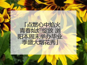 点燃心中焰火 青春灿烂绽放 浏阳本周末举办毕业季盛大烟花秀