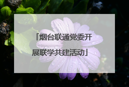 烟台联通党委开展联学共建活动