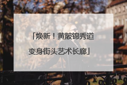焕新！黄陂锦秀道变身街头艺术长廊