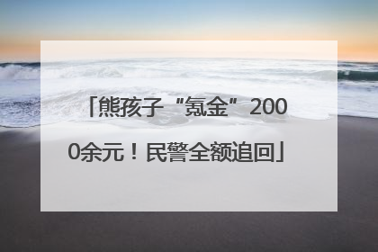 熊孩子“氪金”2000余元！民警全额追回