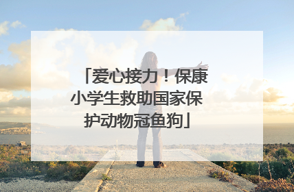 爱心接力！保康小学生救助国家保护动物冠鱼狗