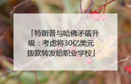 特朗普与哈佛矛盾升级：考虑将30亿美元拨款转发给职业学校