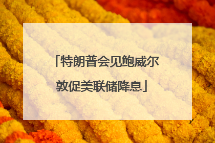 特朗普会见鲍威尔 敦促美联储降息