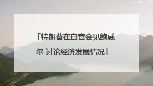 特朗普在白宫会见鲍威尔 讨论经济发展情况