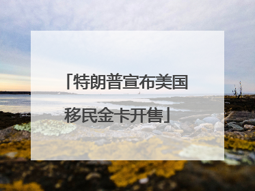 特朗普宣布美国移民金卡开售