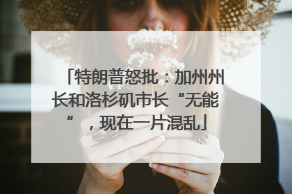 特朗普怒批：加州州长和洛杉矶市长“无能”，现在一片混乱