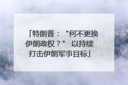 特朗普：“何不更换伊朗政权？” 以持续打击伊朗军事目标
