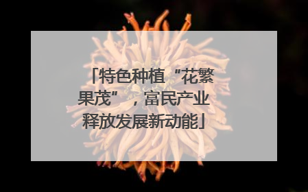 特色种植“花繁果茂”，富民产业释放发展新动能