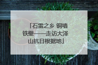 石雷之乡 铜墙铁壁——走访大泽山抗日根据地
