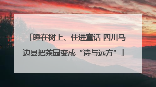 睡在树上、住进童话 四川马边县把茶园变成“诗与远方”