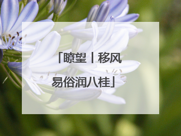 瞭望丨移风易俗润八桂
