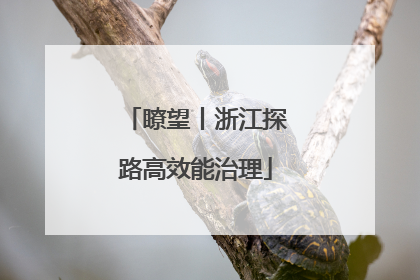瞭望丨浙江探路高效能治理