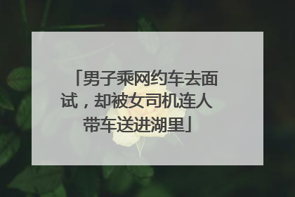 男子乘网约车去面试，却被女司机连人带车送进湖里