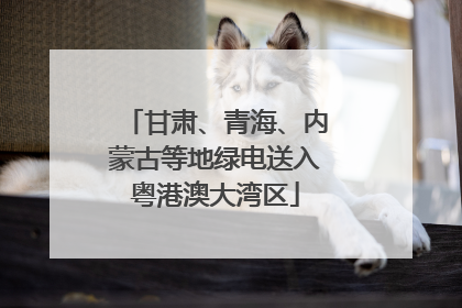甘肃、青海、内蒙古等地绿电送入粤港澳大湾区