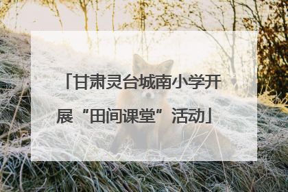 甘肃灵台城南小学开展“田间课堂”活动