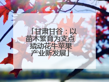 甘肃甘谷：以苗木繁育为支点 撬动花牛苹果产业新发展
