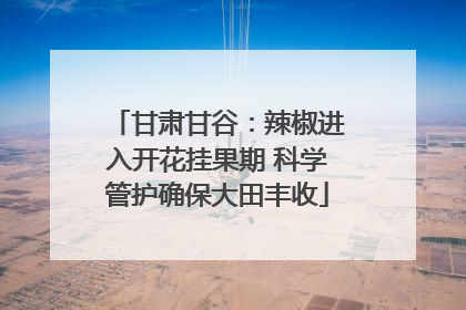 甘肃甘谷：辣椒进入开花挂果期 科学管护确保大田丰收