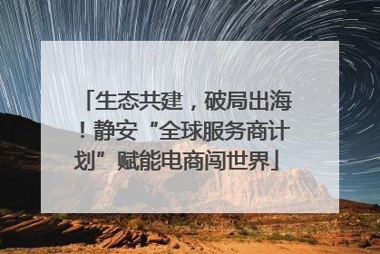 生态共建，破局出海！静安“全球服务商计划”赋能电商闯世界
