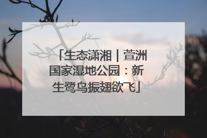 生态潇湘｜萱洲国家湿地公园：新生鹭鸟振翅欲飞
