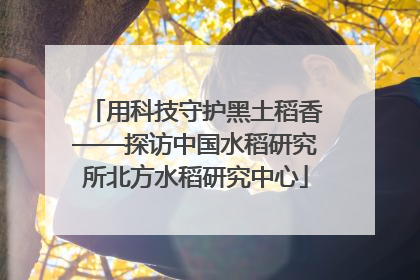 用科技守护黑土稻香——探访中国水稻研究所北方水稻研究中心