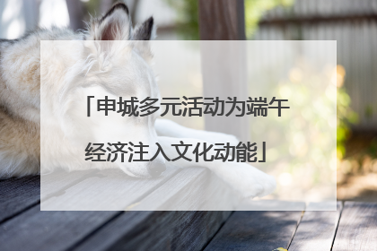 申城多元活动为端午经济注入文化动能