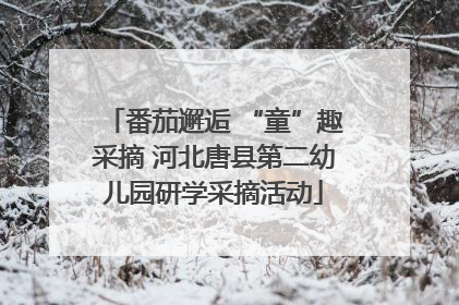 番茄邂逅 “童”趣采摘 河北唐县第二幼儿园研学采摘活动