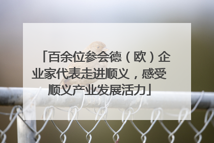 百余位参会德（欧）企业家代表走进顺义，感受顺义产业发展活力