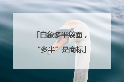 白象多半袋面，“多半”是商标