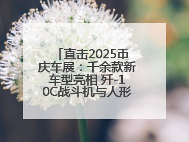 直击2025重庆车展：千余款新车型亮相 歼-10C战斗机与人形机器人引关注