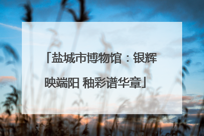 盐城市博物馆：银辉映端阳 釉彩谱华章