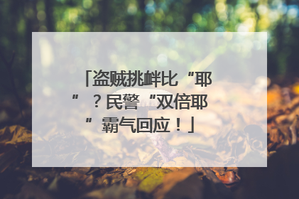 盗贼挑衅比“耶”？民警“双倍耶”霸气回应！
