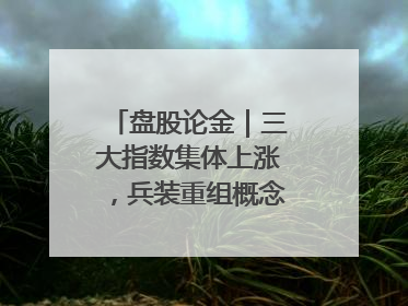 盘股论金｜三大指数集体上涨，兵装重组概念遥遥领先