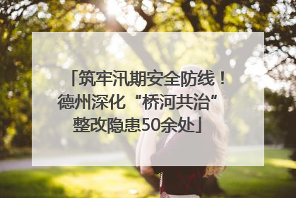 筑牢汛期安全防线！德州深化“桥河共治”整改隐患50余处