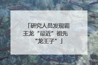 研究人员发现霸王龙“最近”祖先“龙王子”