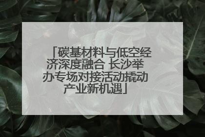 碳基材料与低空经济深度融合 长沙举办专场对接活动撬动产业新机遇