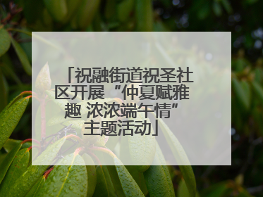 祝融街道祝圣社区开展“仲夏赋雅趣 浓浓端午情”主题活动