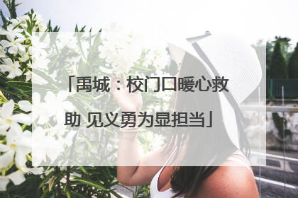 禹城：校门口暖心救助 见义勇为显担当